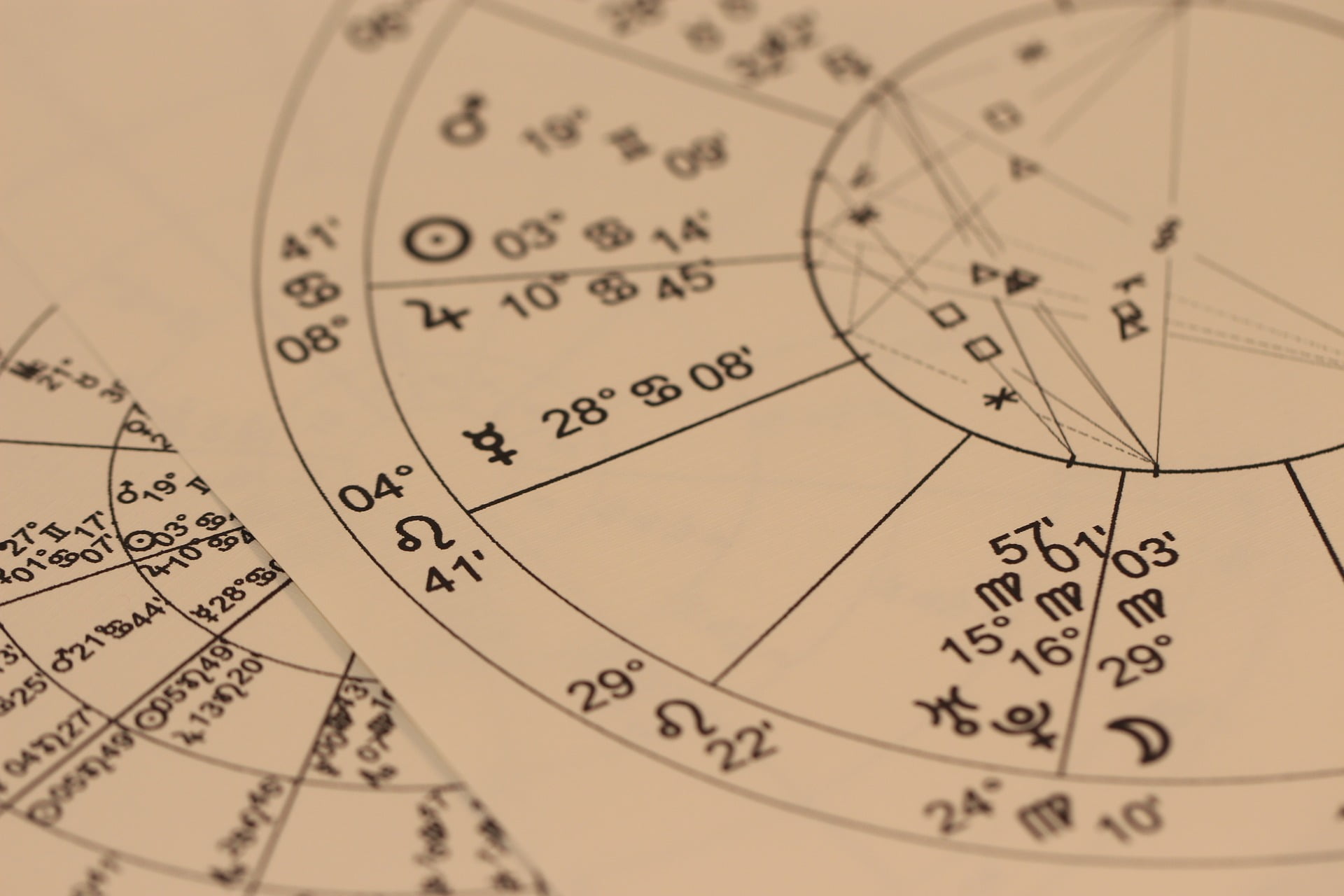 “Astrology 101: A Beginner’s Journey into the World of Zodiac Signs”