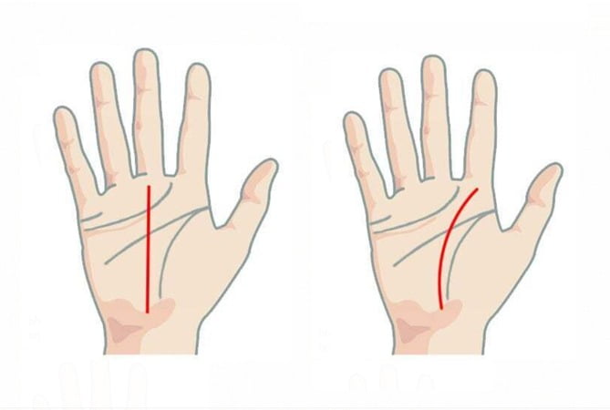 Understanding the Job Line in Palmistry: Your Career Path Revealed